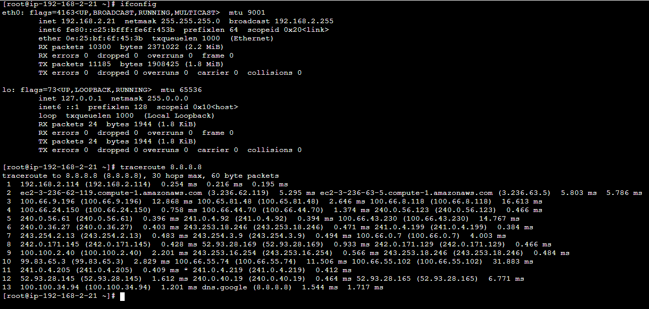 Test Server Traceroute